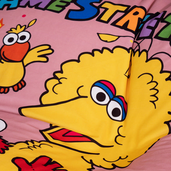 Sloucher Sækkesofa - Sesame Street 03