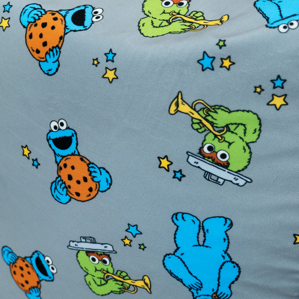 Sækkestol til Børn 1-5 år - Cookie Monster & Oscar The Grouch Fabric Close-up Image