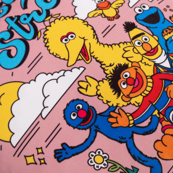 Pudebetræk 47 x 47cm - Sesame Street Since 1969 Fabric Close-up Image
