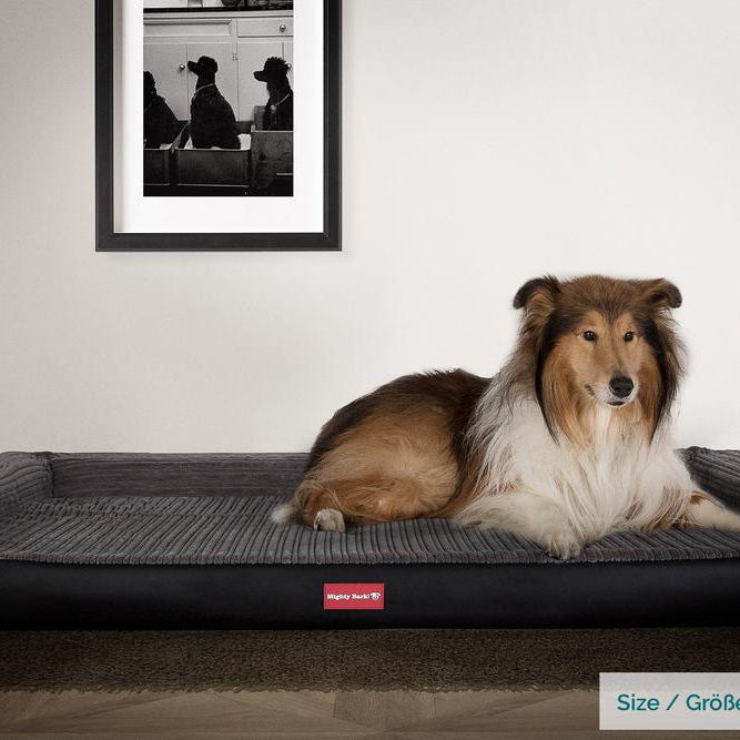 Mighty Bark, Hundesofa, Ortopædisk Hundeseng med Memory Skum, Kunstlæder Sort