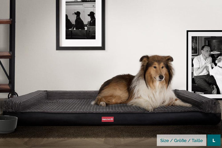 Mighty Bark, Hundesofa, Ortopædisk Hundeseng med Memory Skum, Kunstlæder Sort