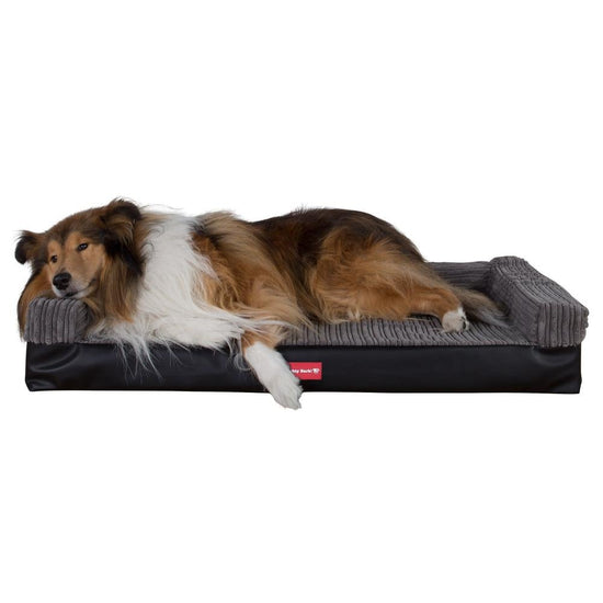 Mighty Bark, Hundesofa, Ortopædisk Hundeseng med Memory Skum, Kunstlæder Sort