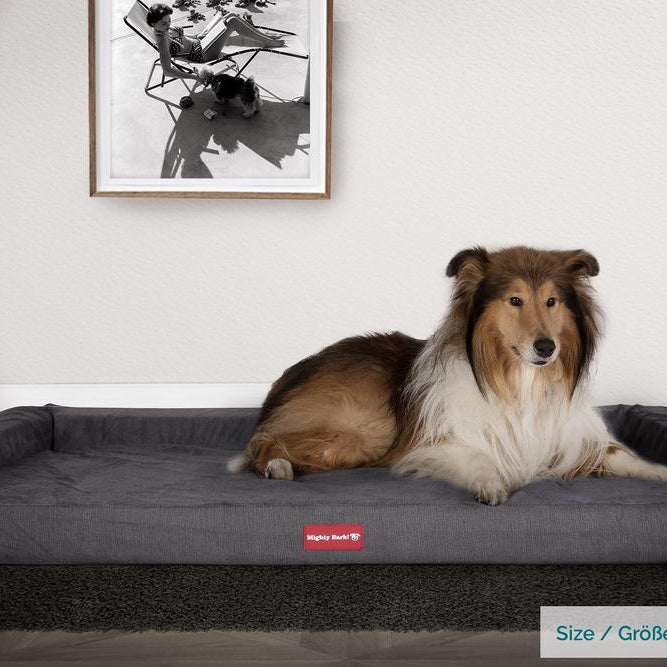 Mighty Bark, Hundesofa, Ortopædisk Hundeseng med Memory Skum, Chenille Grafit Grå