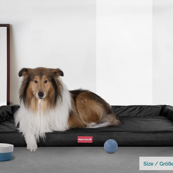 Mighty Bark, Hundesofa, Ortopædisk Hundeseng med Memory Skum, Vandtæt Sort
