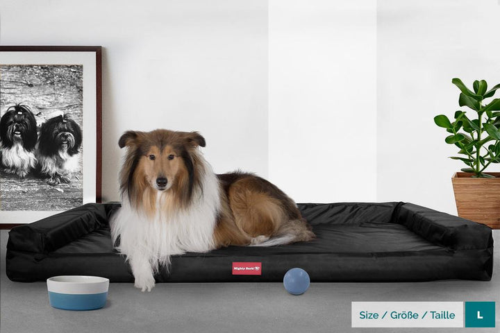 Mighty Bark, Hundesofa, Ortopædisk Hundeseng med Memory Skum, Vandtæt Sort