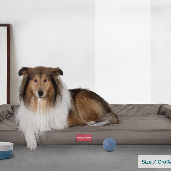 Mighty Bark, Hundesofa, Ortopædisk Hundeseng med Memory Skum, Vandtæt Grå