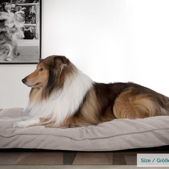 Mighty Bark, Hundemadras, Ortopædisk Hundeseng med Memory Skum, Stonewashed denim Grå