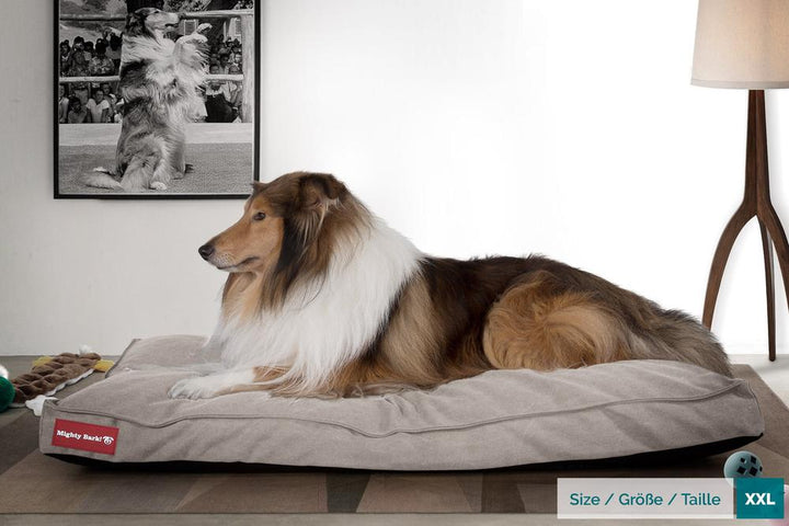 Mighty Bark, Hundemadras, Ortopædisk Hundeseng med Memory Skum, Stonewashed denim Grå