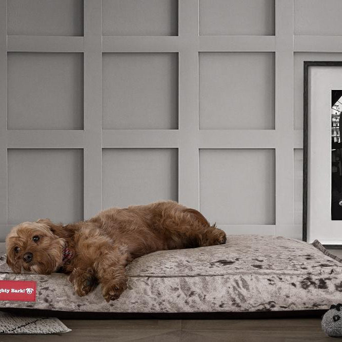 Mighty Bark, Hundemadras, Ortopædisk Hundeseng med Memory Skum, Vintage-fløjl Sølv