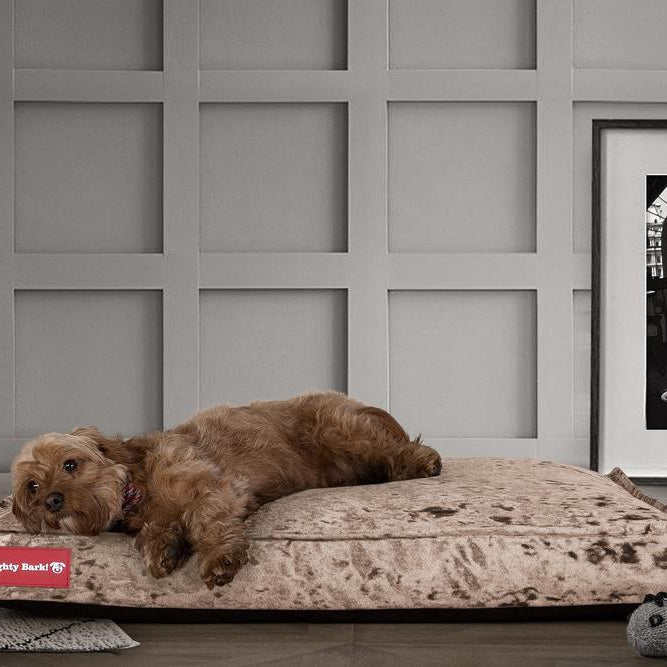 Mighty Bark, Hundemadras, Ortopædisk Hundeseng med Memory Skum, Vintage-fløjl Trøffel