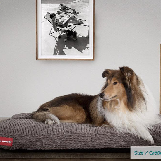 Mighty Bark, Hundemadras, Ortopædisk Hundeseng med Memory Skum, Pom Pom Kul Grå