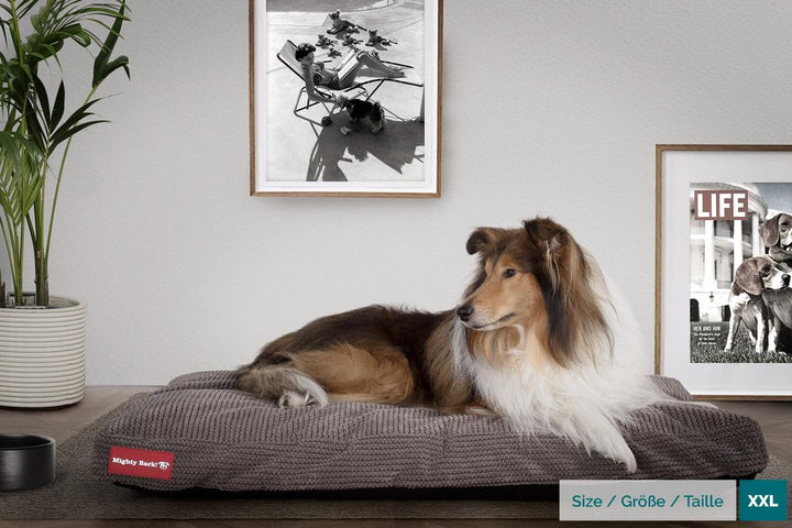 Mighty Bark, Hundemadras, Ortopædisk Hundeseng med Memory Skum, Pom Pom Kul Grå