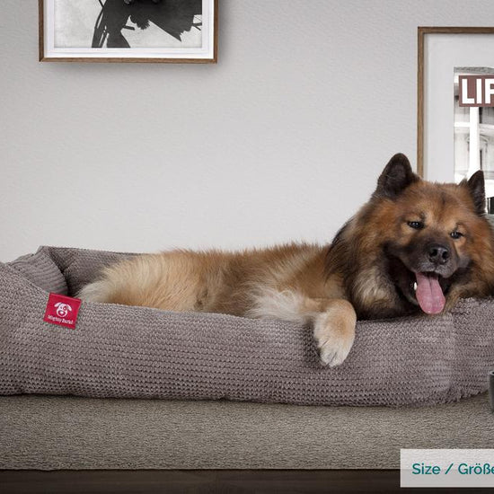 Mighty Bark, Hundekurv, Ortopædisk Hundeseng med Memory skum, Pom Pom Kul Grå