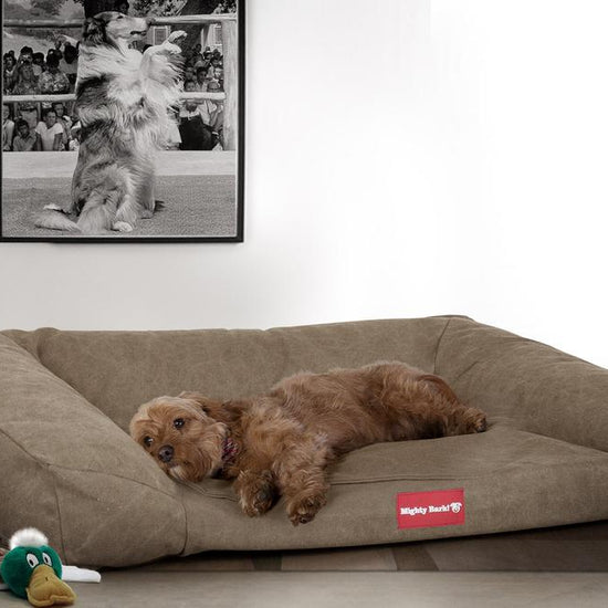 Mighty Bark, Hundefofa, Ortopædisk Hundeseng med memory Skum, Stonewashed denim Kaki