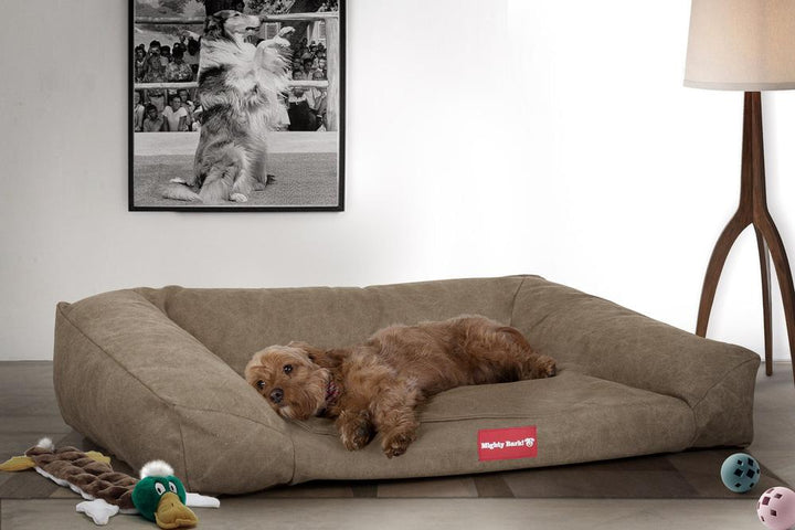 Mighty Bark, Hundefofa, Ortopædisk Hundeseng med memory Skum, Stonewashed denim Kaki