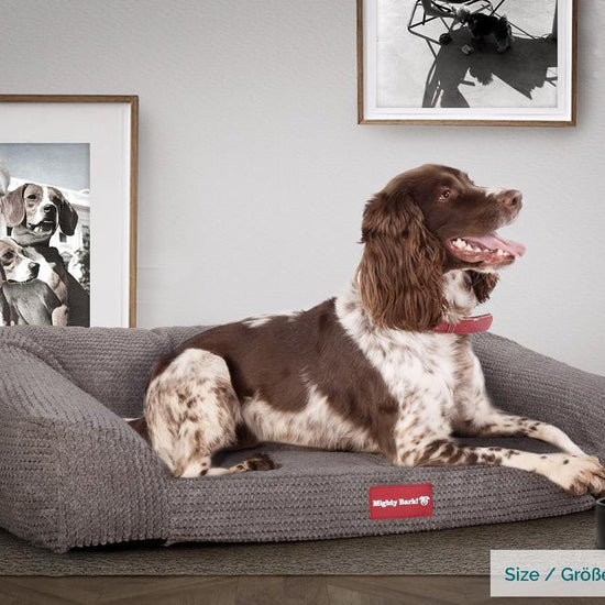 Mighty Bark, Hundefofa, Ortopædisk Hundeseng med memory Skum, Pom Pom Kul Grå