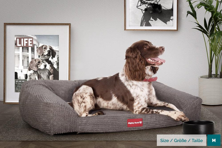 Mighty Bark, Hundefofa, Ortopædisk Hundeseng med memory Skum, Pom Pom Kul Grå