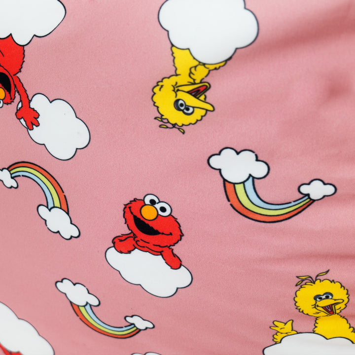 Sofasækkestol - Elmo & Big Bird 03